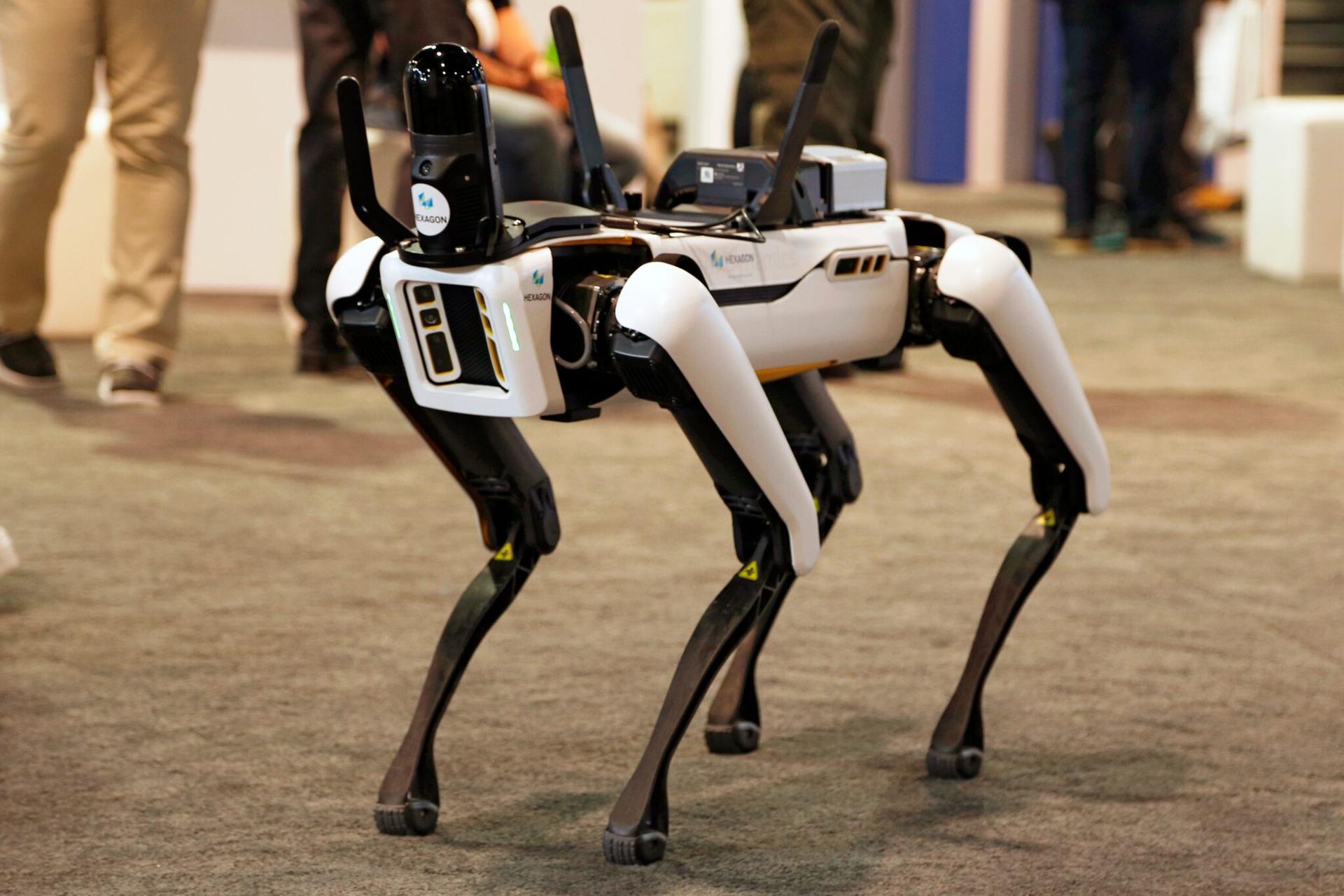 הרובוט ספוט של חברת Boston Dynamics | צילום: שאטרסטוק