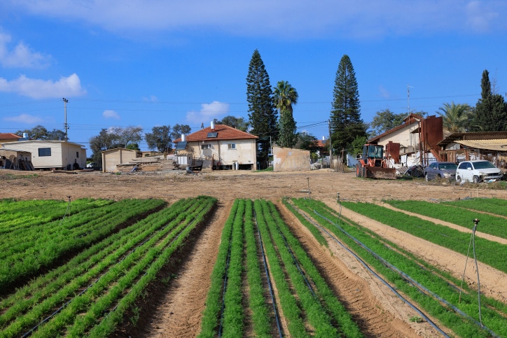 מחיר העגבנייה לא אמור לתמחר את האינטרס ההתיישבותי