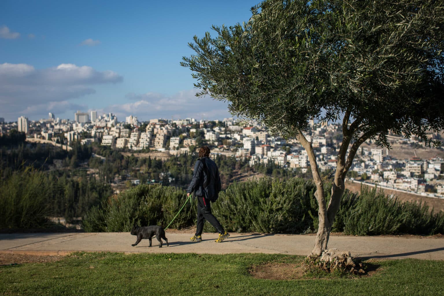 בלב ארמון הנציב: יוקם פרויקט פינוי בינוי יוקרתי בכ-400 מיליון שקל