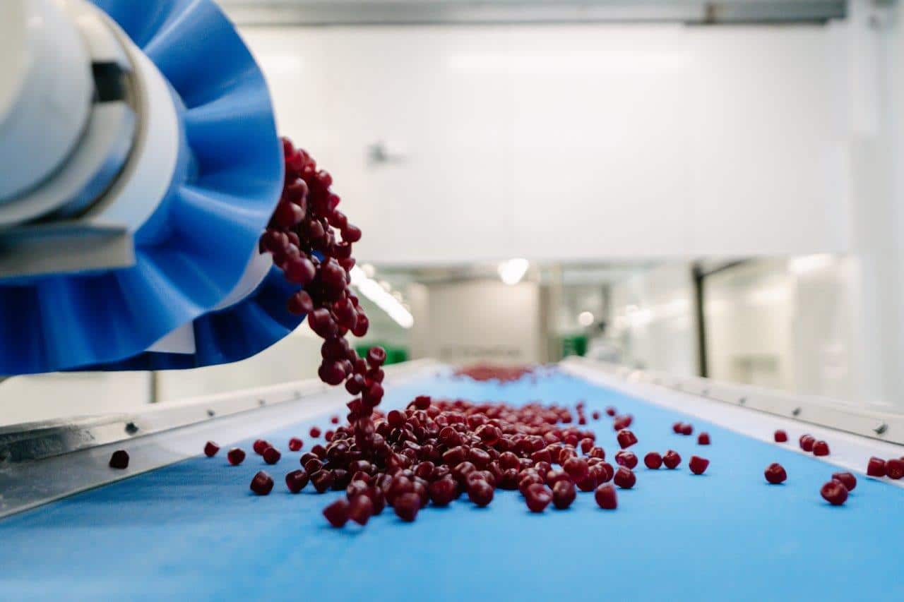 טופ גאם משדרות רוכשת חברה קנדית ב-20 מיליון דולר