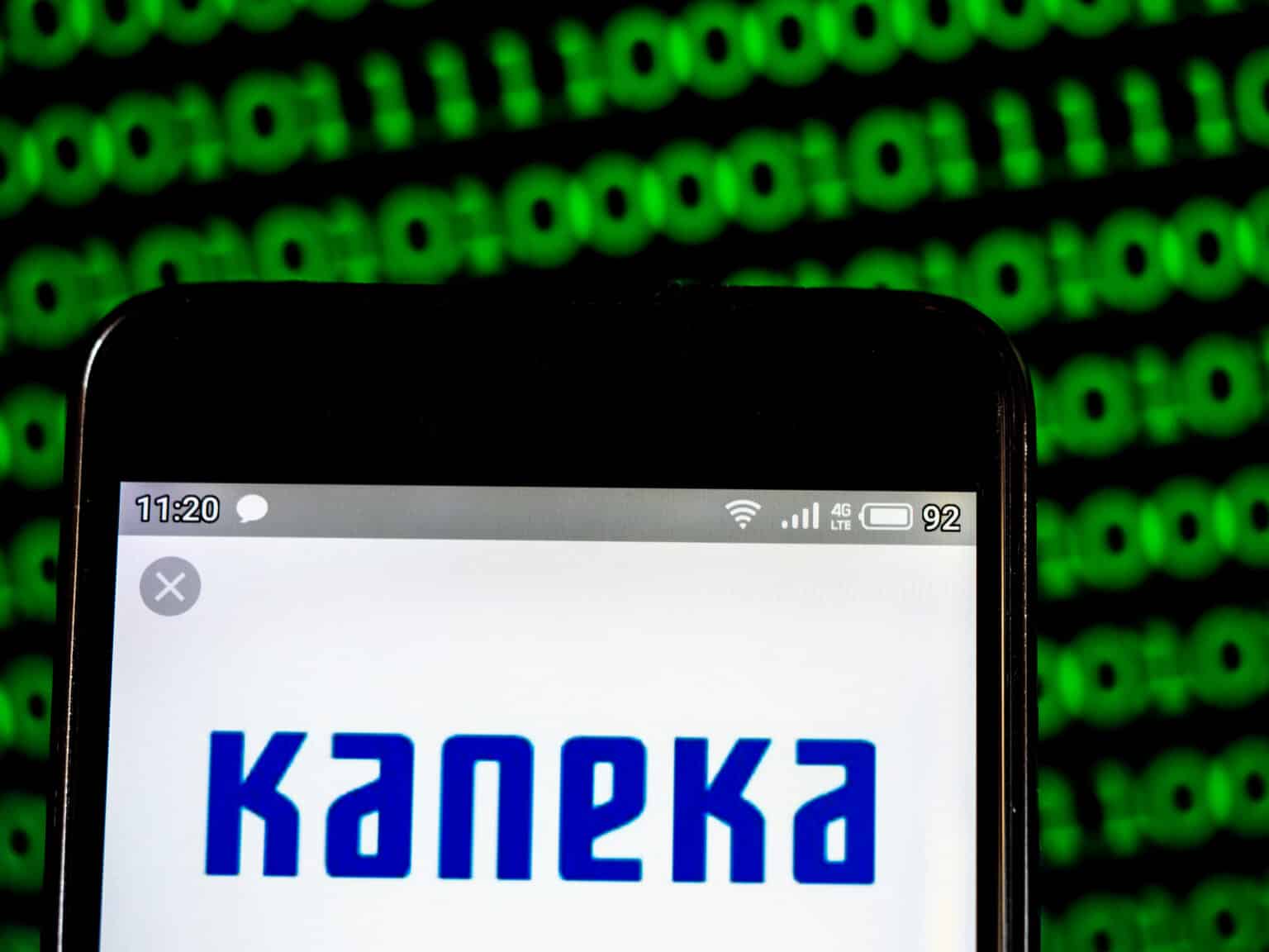 ארץ השווי העולה: אנדוסטרים מדיקל נרכשת ע"י קונצרן קאנקה היפני לפי שווי של כ-100 מיליון דולר