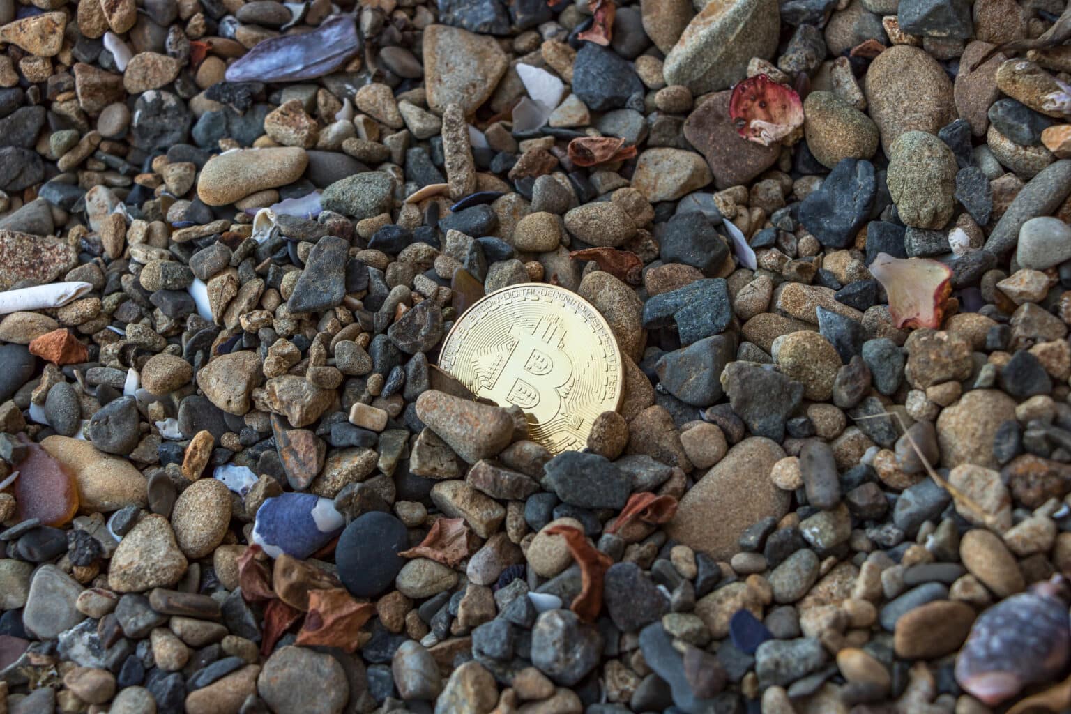 מהפח אל הפחת: ביטקוין בשווי 740 מיליון דולר יישאר קבור במזבלה