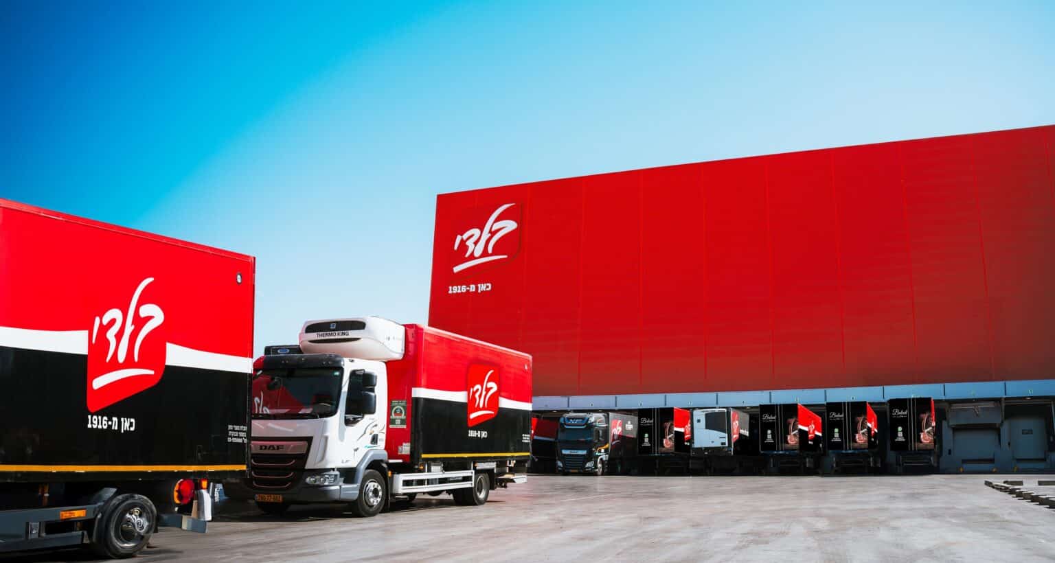 בלדי השלימה הנפקה ראשונה בבורסה לפי שווי של 950 מיליון שקל