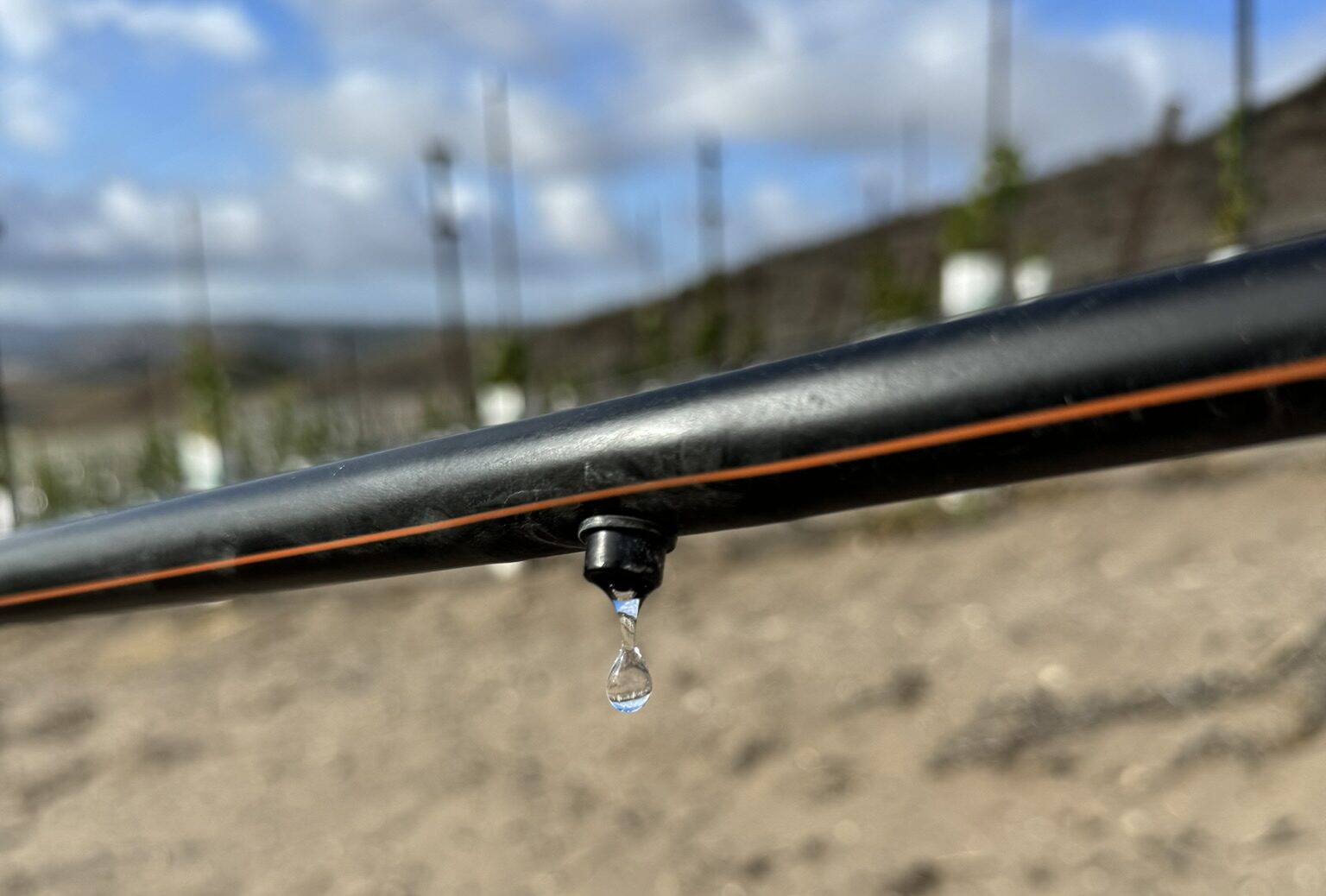 הטפטפת ההיברידית של נטפים | צילום: חברת נטפים