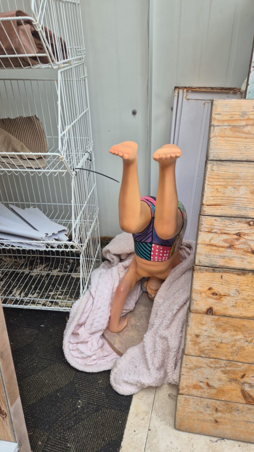 גנב פסל בשווי אלפי שקלים מבית מלון: כך נתפס בן 23 מהרצליה