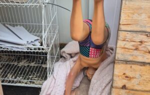 הפסל ייחודי של דוד בן גוריון שנגנב. צילום: דוברות משטרת ישראל