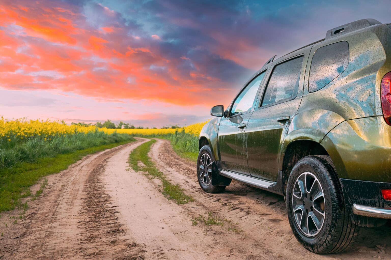 קרסו מוטורס מסכמת שנה עם זינוק של 37% בהכנסות ל-6.4 מיליארד שקל