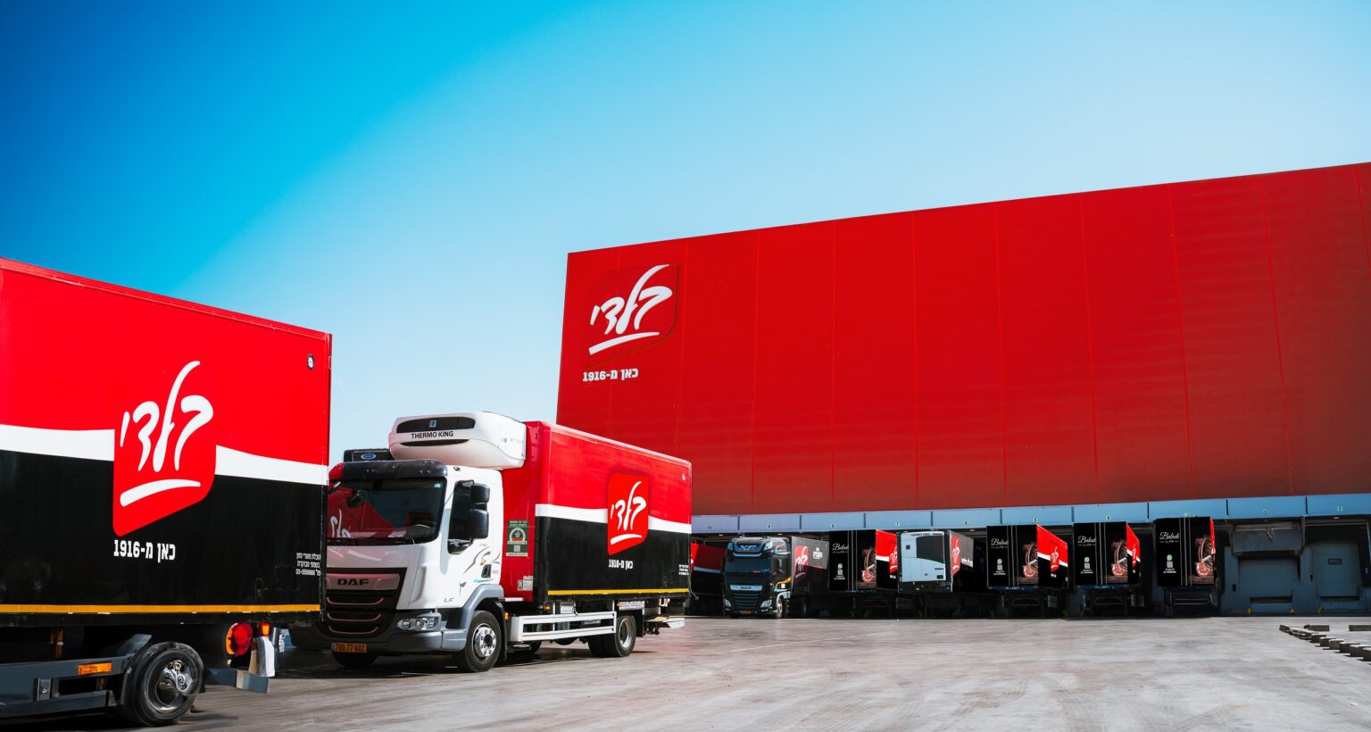 בלדי מסכמת שנה ראשונה כחברה ציבורית: רווח נקי של 97 מיליון שקל