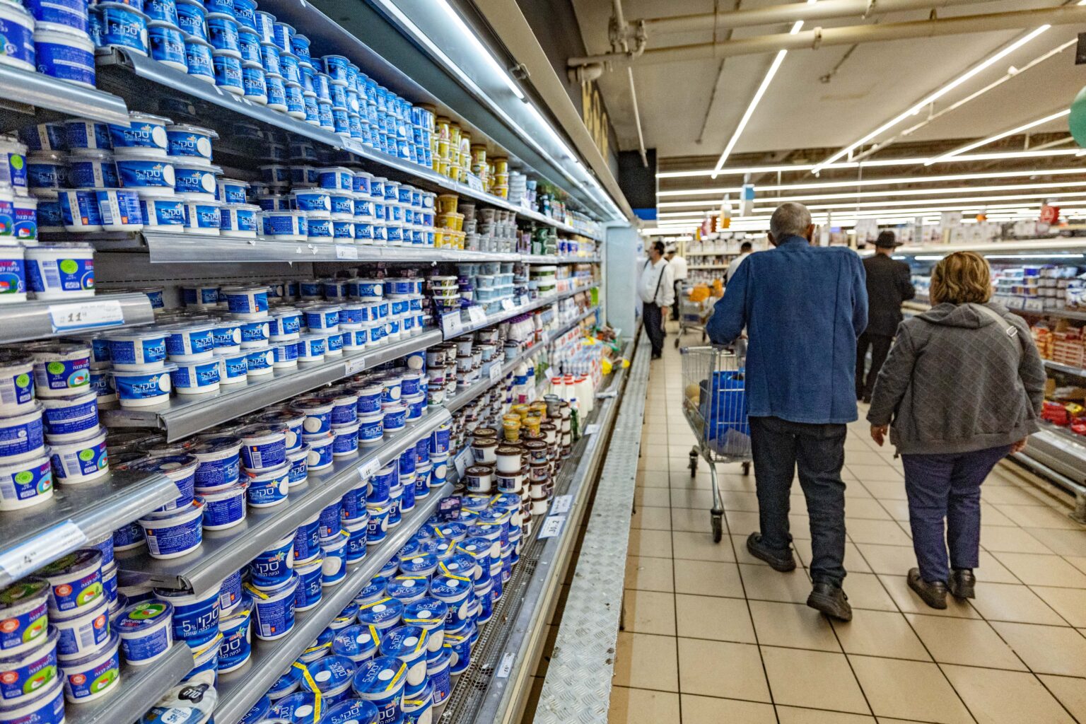 גל התייקרויות במוצרי החלב: מחלבות גד מצטרפת לעליות המחירים