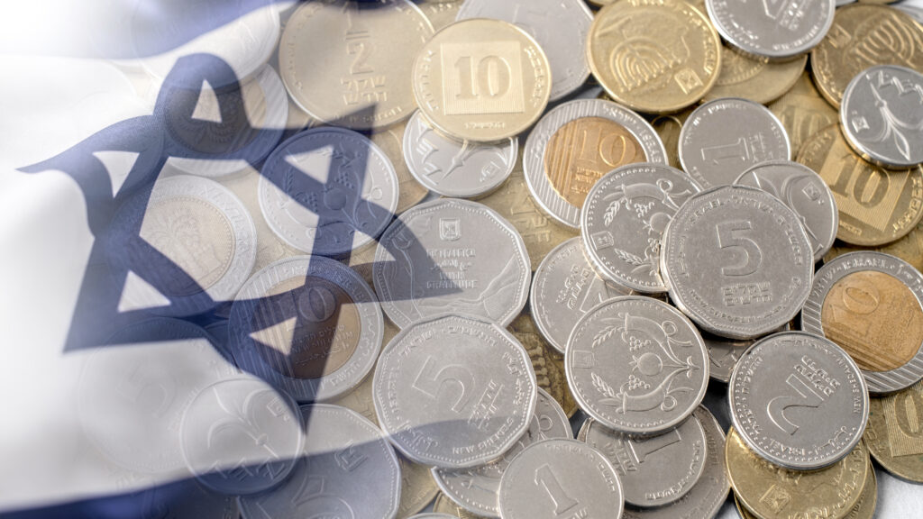 סל קניות לעצמאות, אילוסטרציה | קרדיט: ArieStudio, Marian Weyo, שאטרסטוק