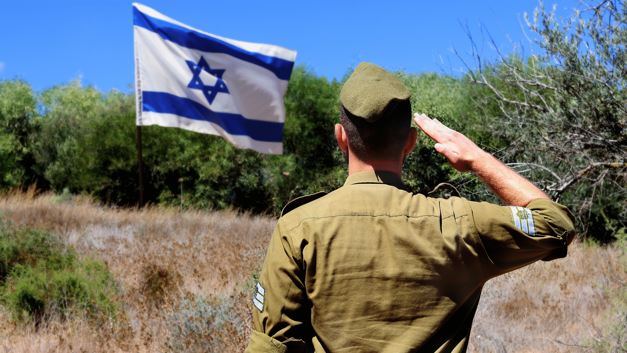 חייל מצדיע לדגל | צילום: Shabtay, שאטרסטוק