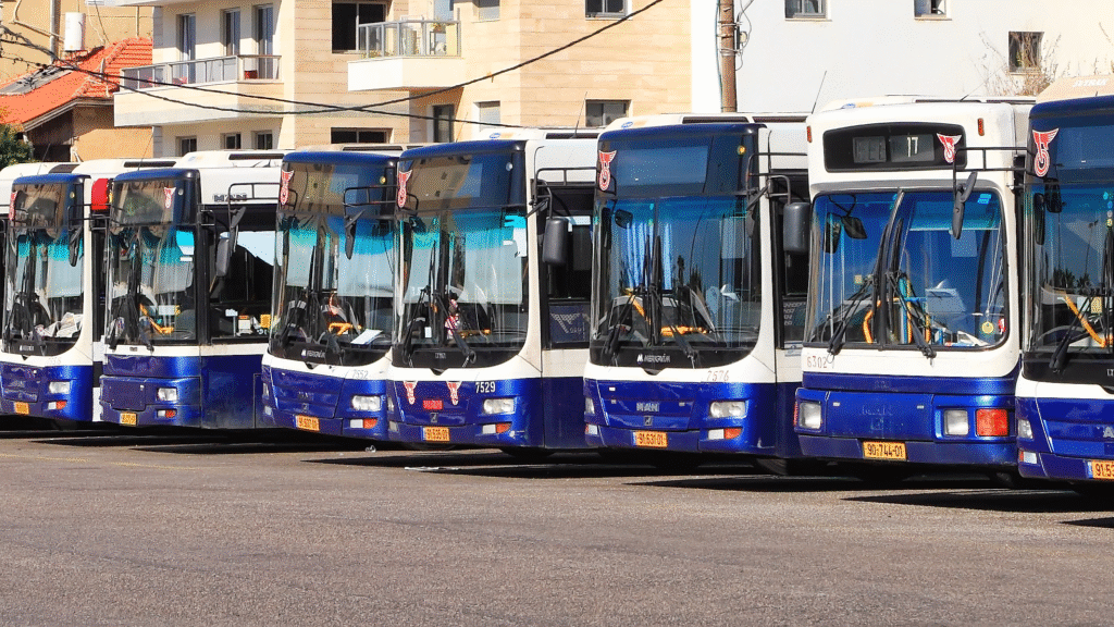 אוטובוסים של חברת דן | קרדיט: Protasov AN, שאטרסטוק
