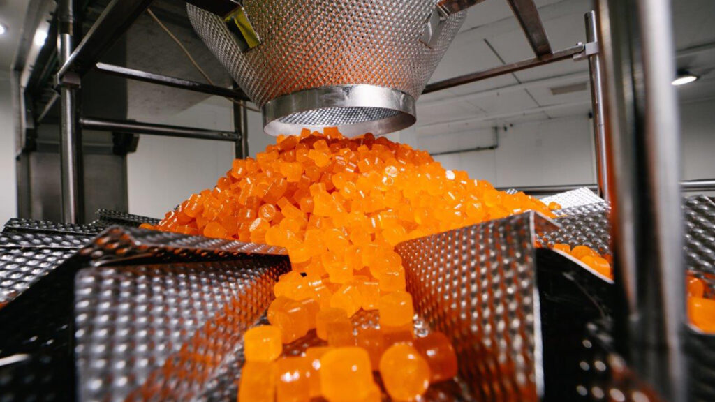 מפעל חברת טופ גאם | קרדיט: טופ גאם