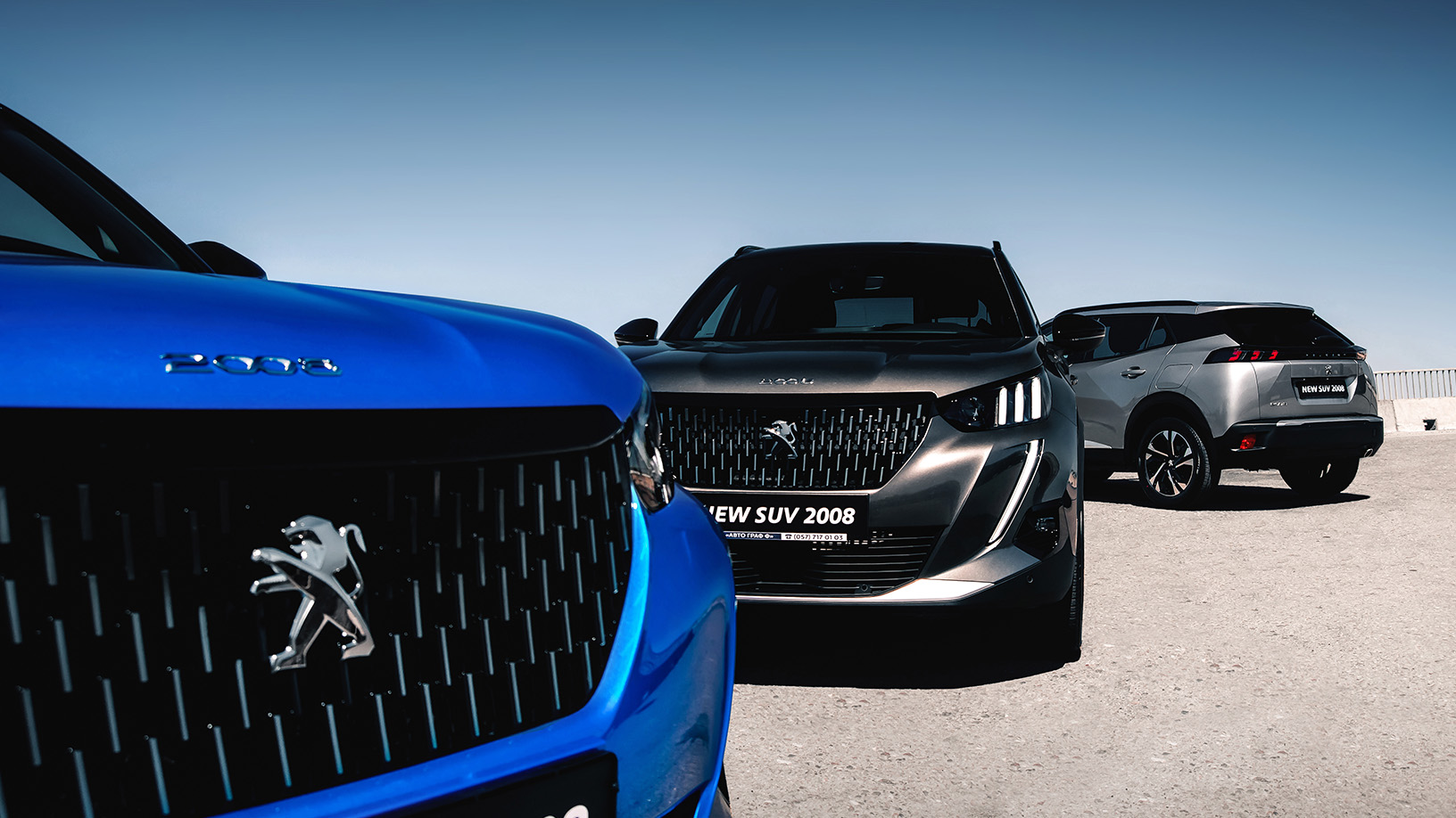 מכוניות פיג'ו | קרדיט: שאטרסטוק