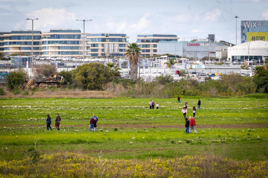 גלילות. צילום: דור פזואלו, פלאש 90