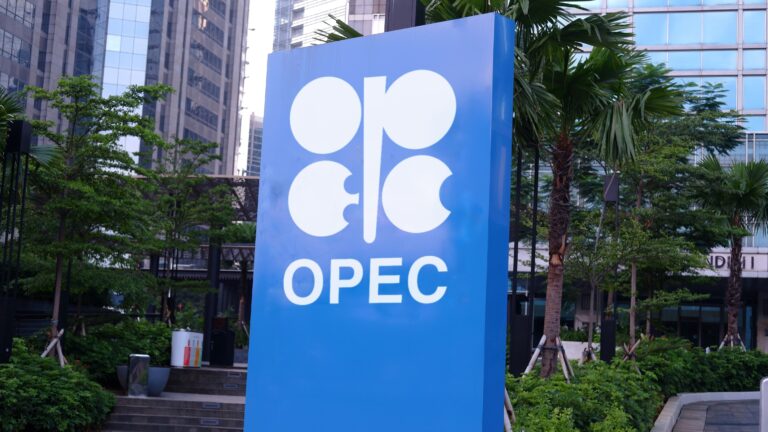 ארגון המדינות המייצאות נפט (OPEC) | צילום: שאטרסטוק
