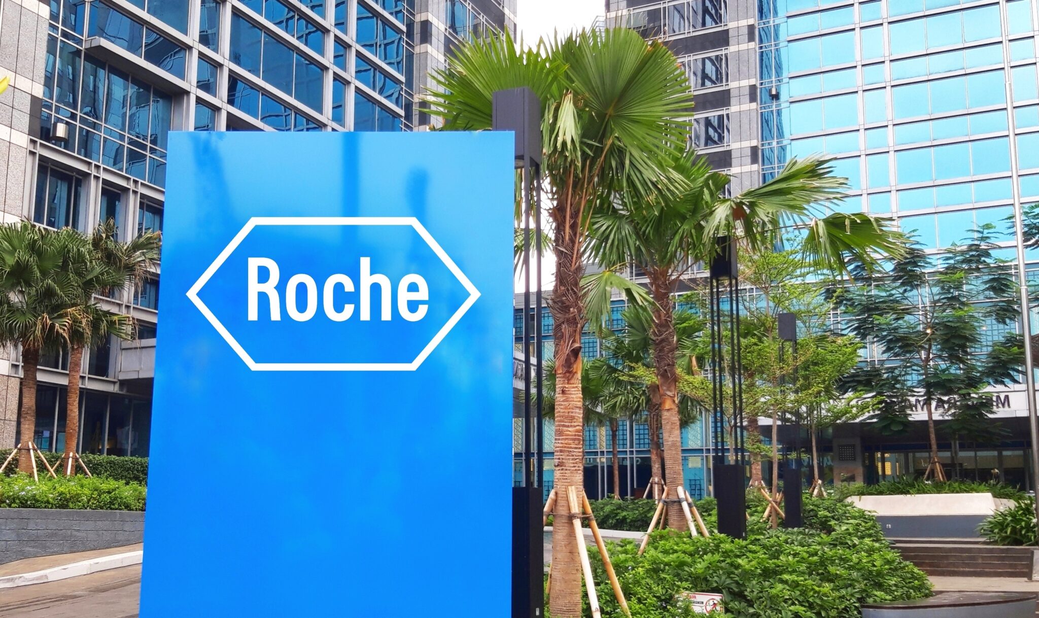 חברת התרופות השוויצרית רוש | צילום: שאטרסטוק