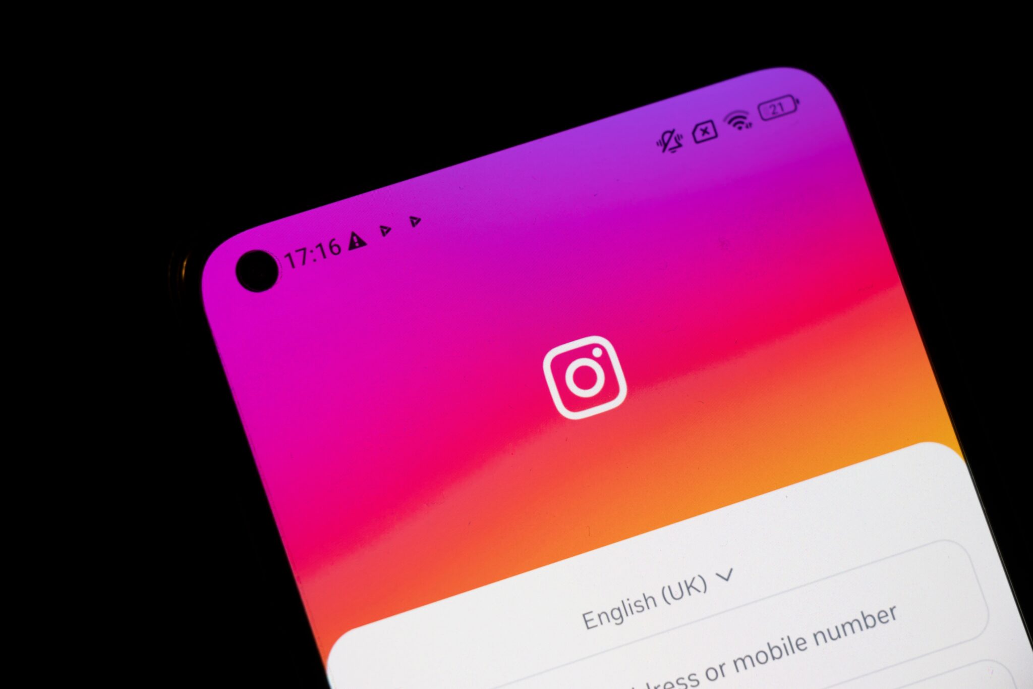 אינסטגרם | צילום: שאטרסטוק