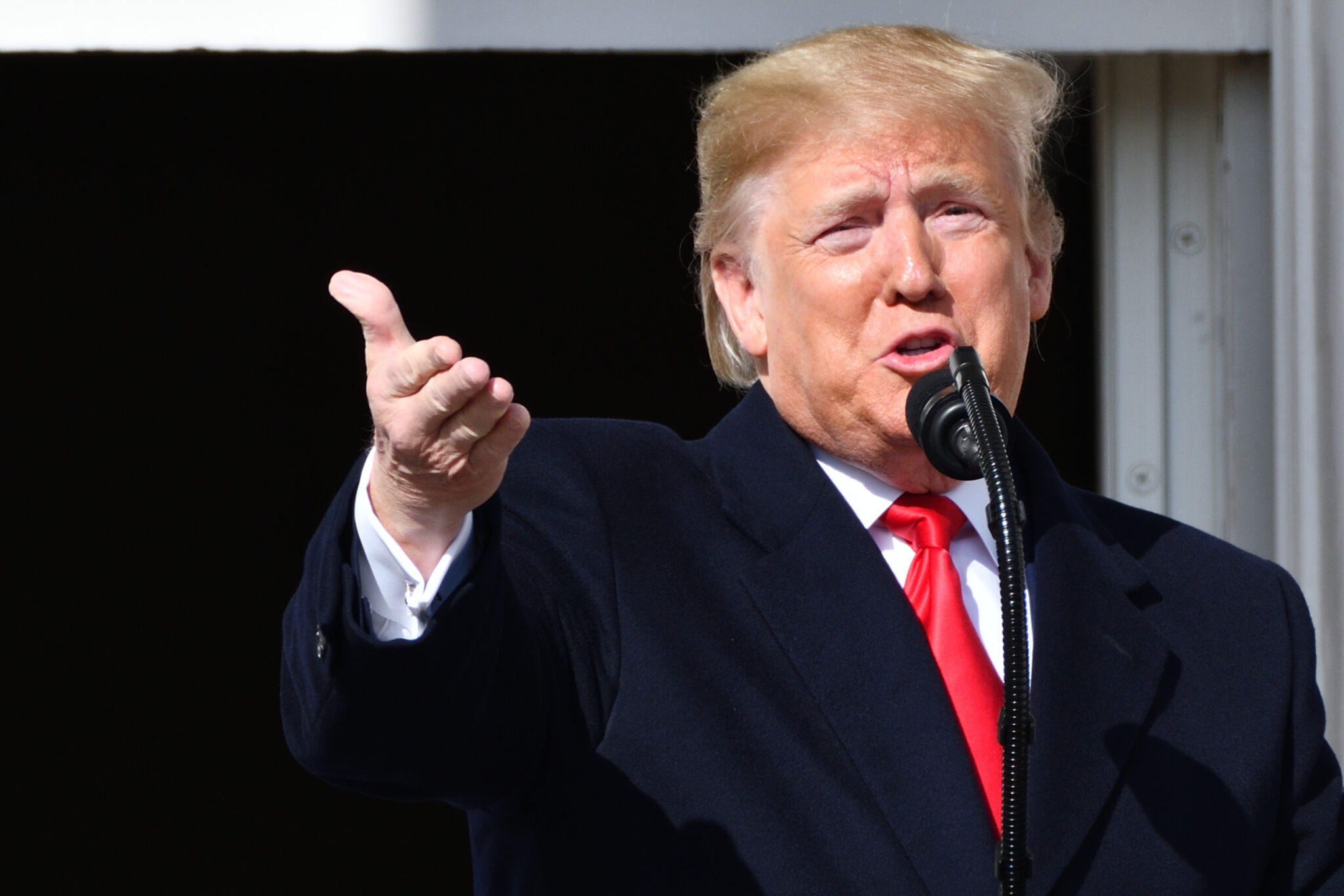 נשיא ארה"ב דונלד טראמפ | צילום: שאטרסטוק