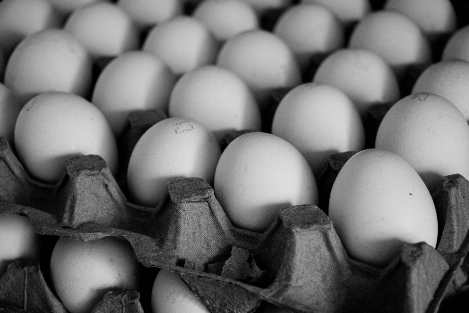 משרד החקלאות: מחיר הביצים יעלה ב-1%