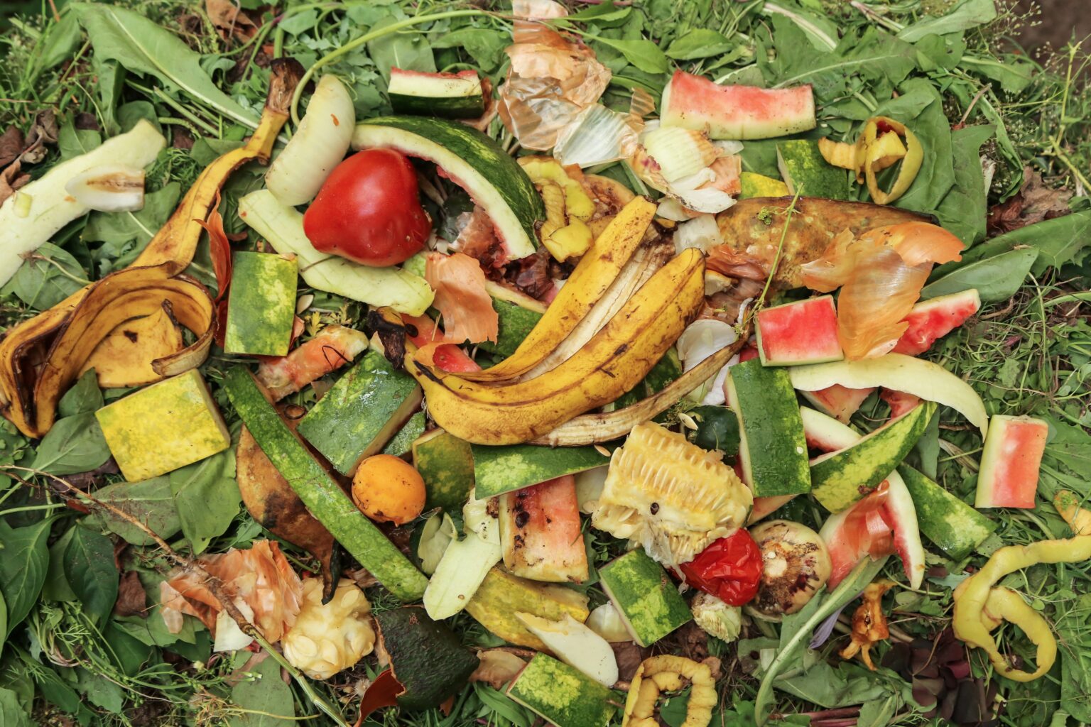 בעשור האחרון: הישראלים זרקו מזון ב-211 מיליארד שקל