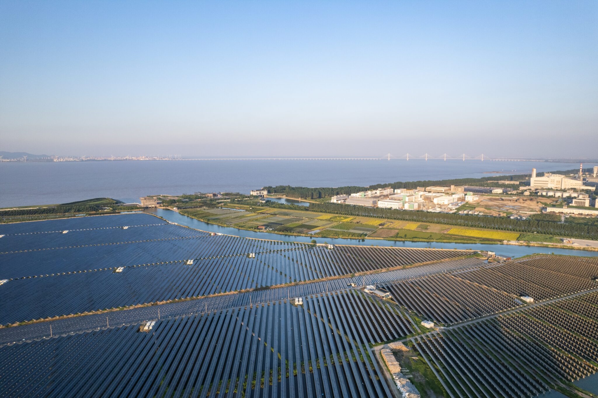 חווה סולארית | צילום: שאטרסטוק