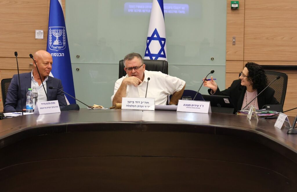 הדיון בוועדת הכלכלה. צילום: דוברות הכנסת, דני שם טוב