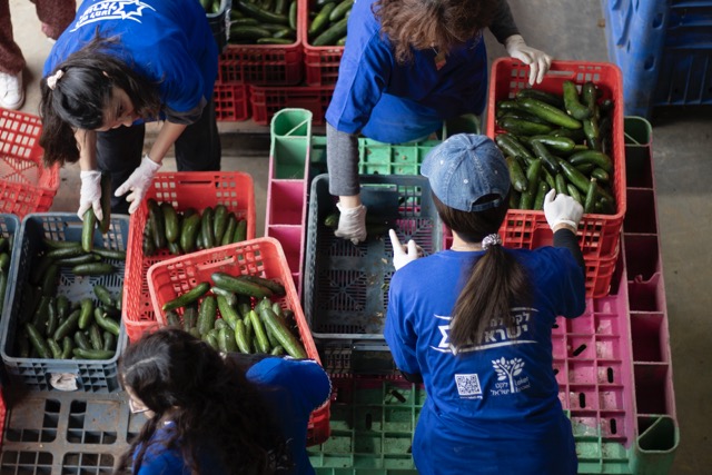 הצלת מזון | צילום: לקט ישראל