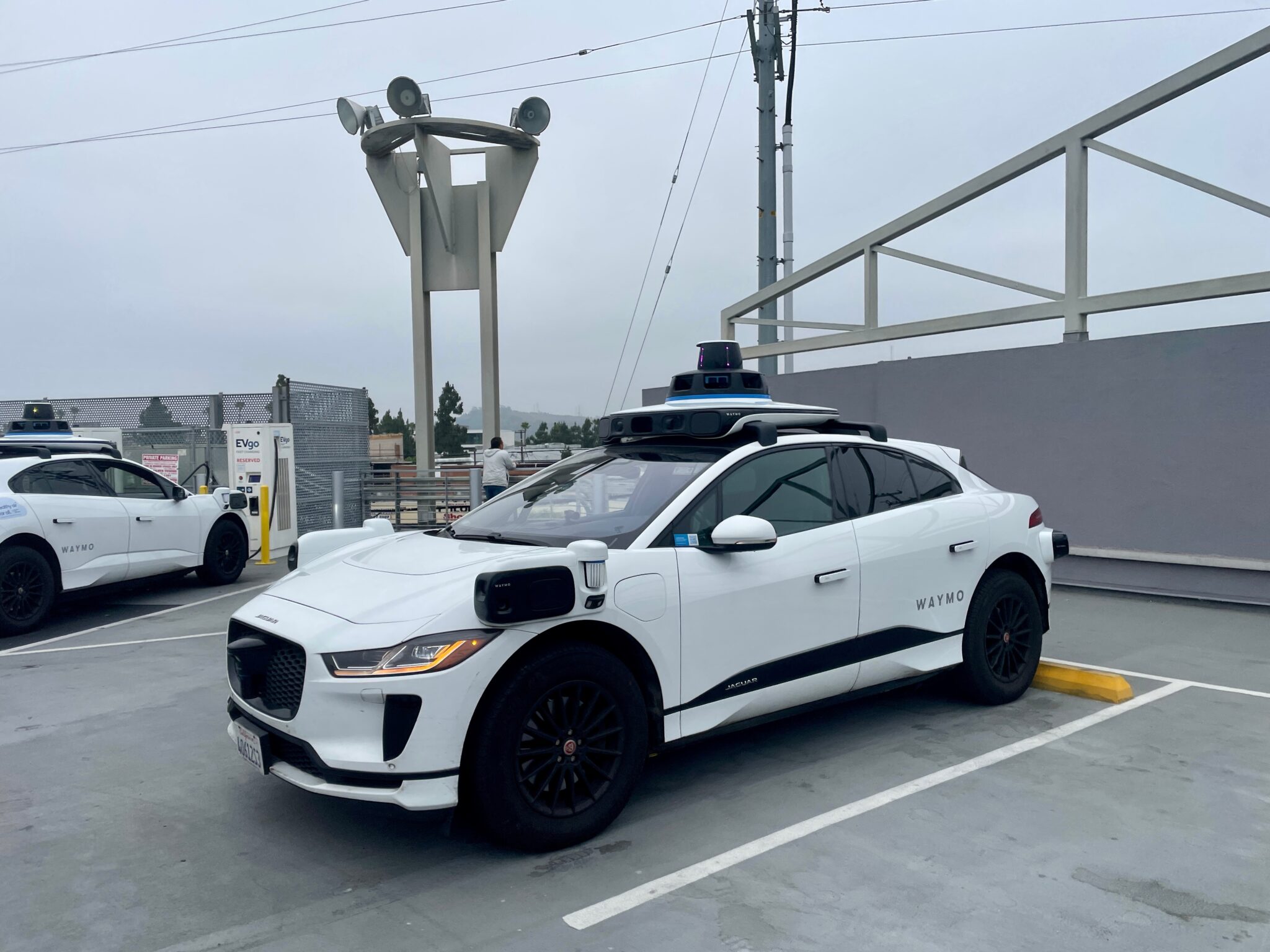 רובוטקסי של טסלה | צילום: שאטרסטוק