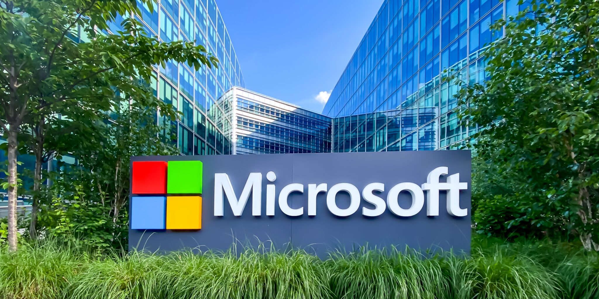מיקרוסופט | צילום: שאטרסטוק