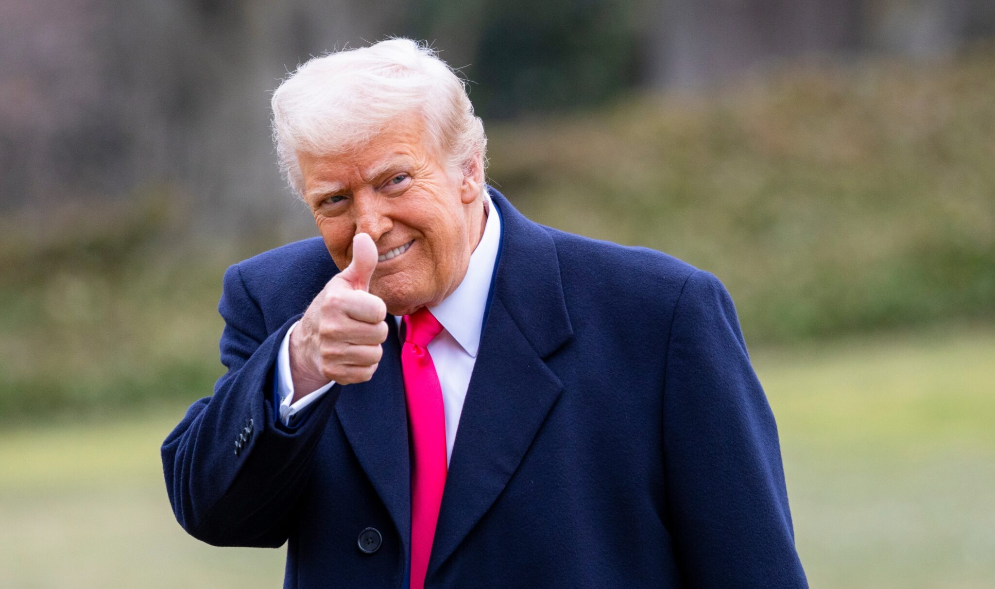 נשיא ארה"ב דונלד טראמפ | צילום: שאטרסטוק