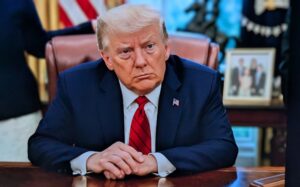 נשיא ארה"ב דונלד טראמפ | צילום: שאטרסטוק