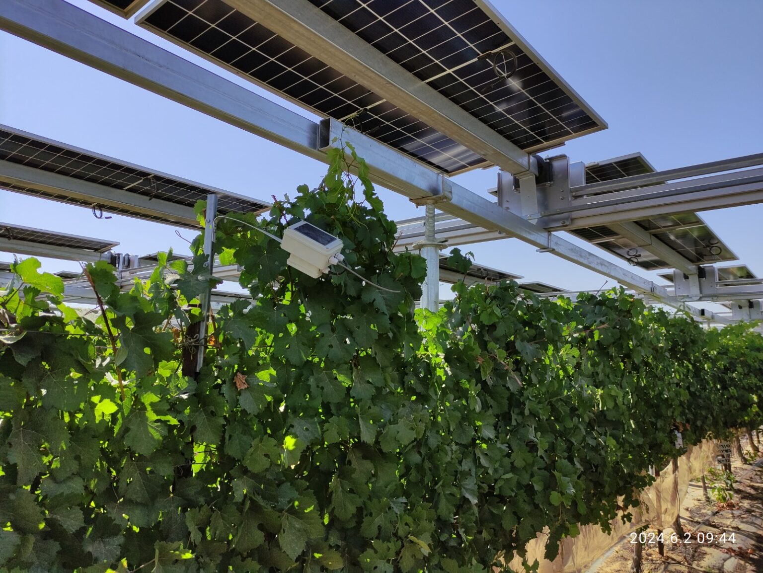 בהשקעה של מיליוני שקלים: מרכז אגרו-וולטאי יוקם ברמת הנגב