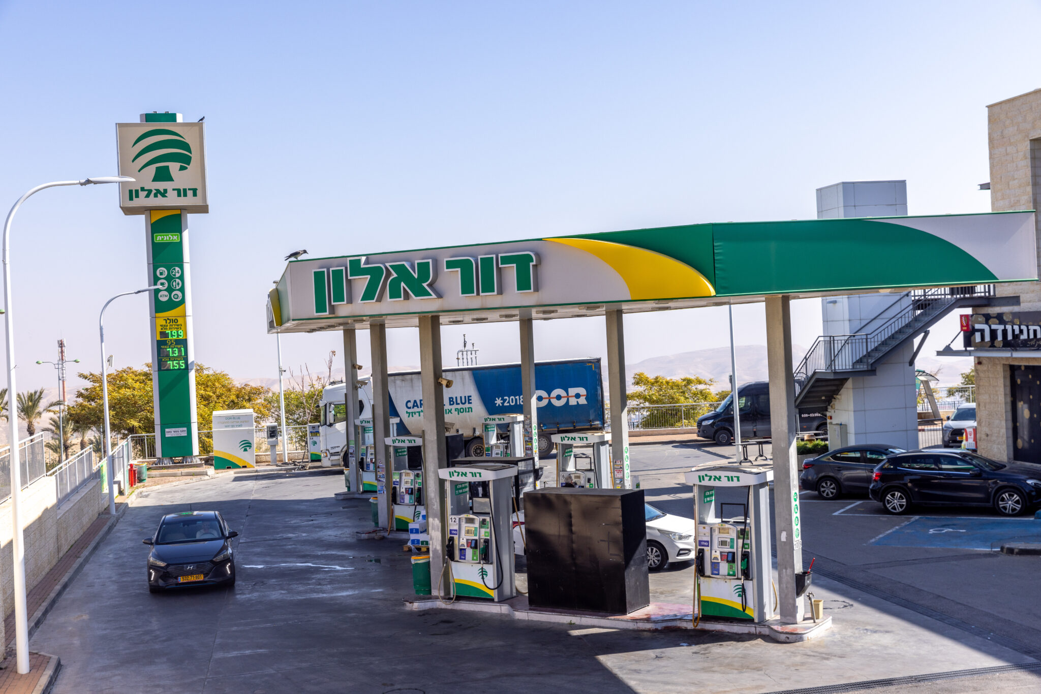 דור אלון | צילום: יוסי אלוני, פלאש 90