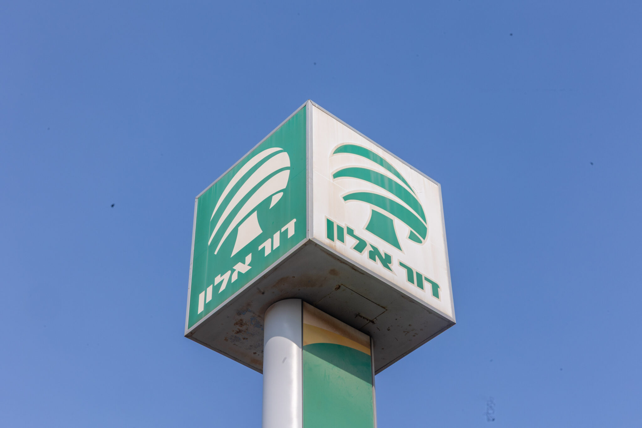 דור אלון | צילום: יוסי אלוני, פלאש 90