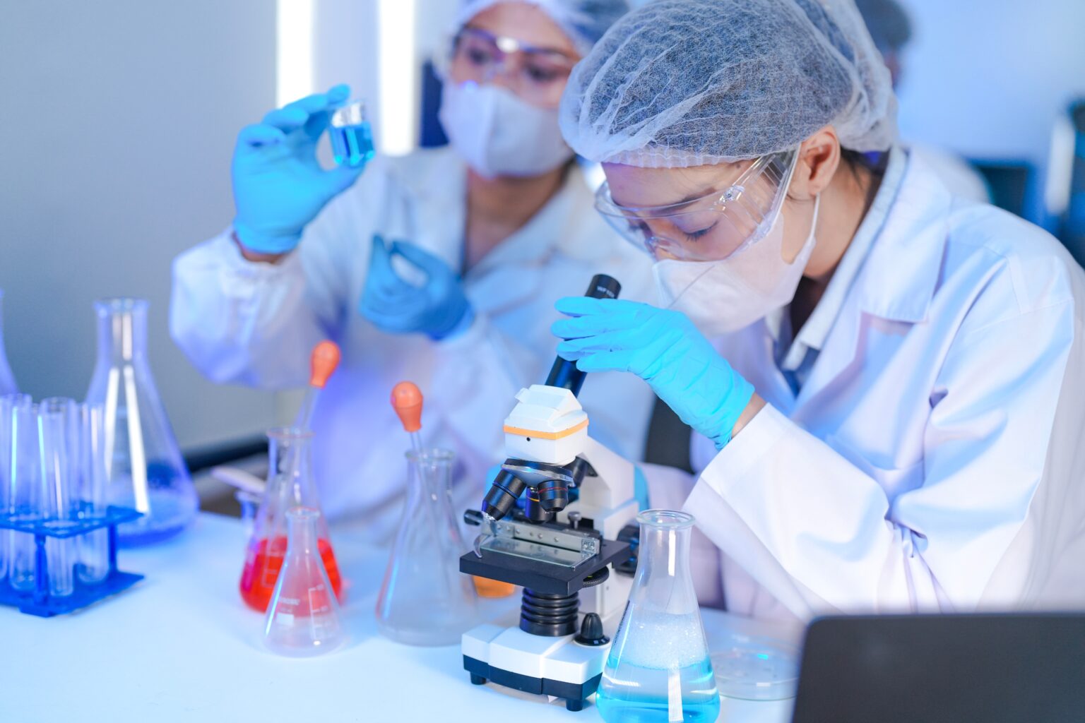 שנת השיא של קמהדע: צמיחה דו-ספרתית ותחזיות אופטימיות ל-2026