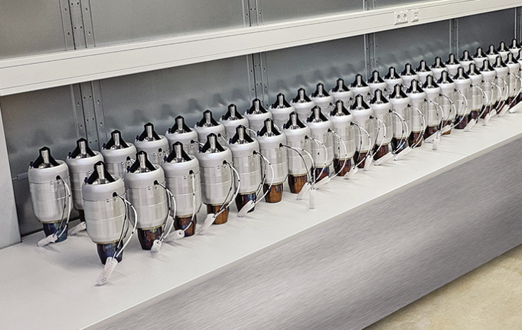 צילום מסך מתוך אתר Jet Cat Defense