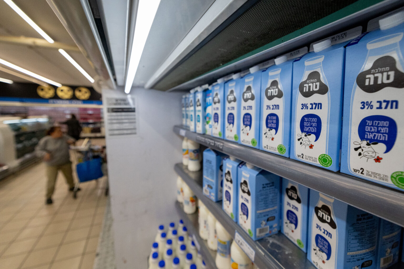 טרה מצטרפת לגל: מחירי מוצרי החלב הלא מפוקחים עולים עד 2.9%