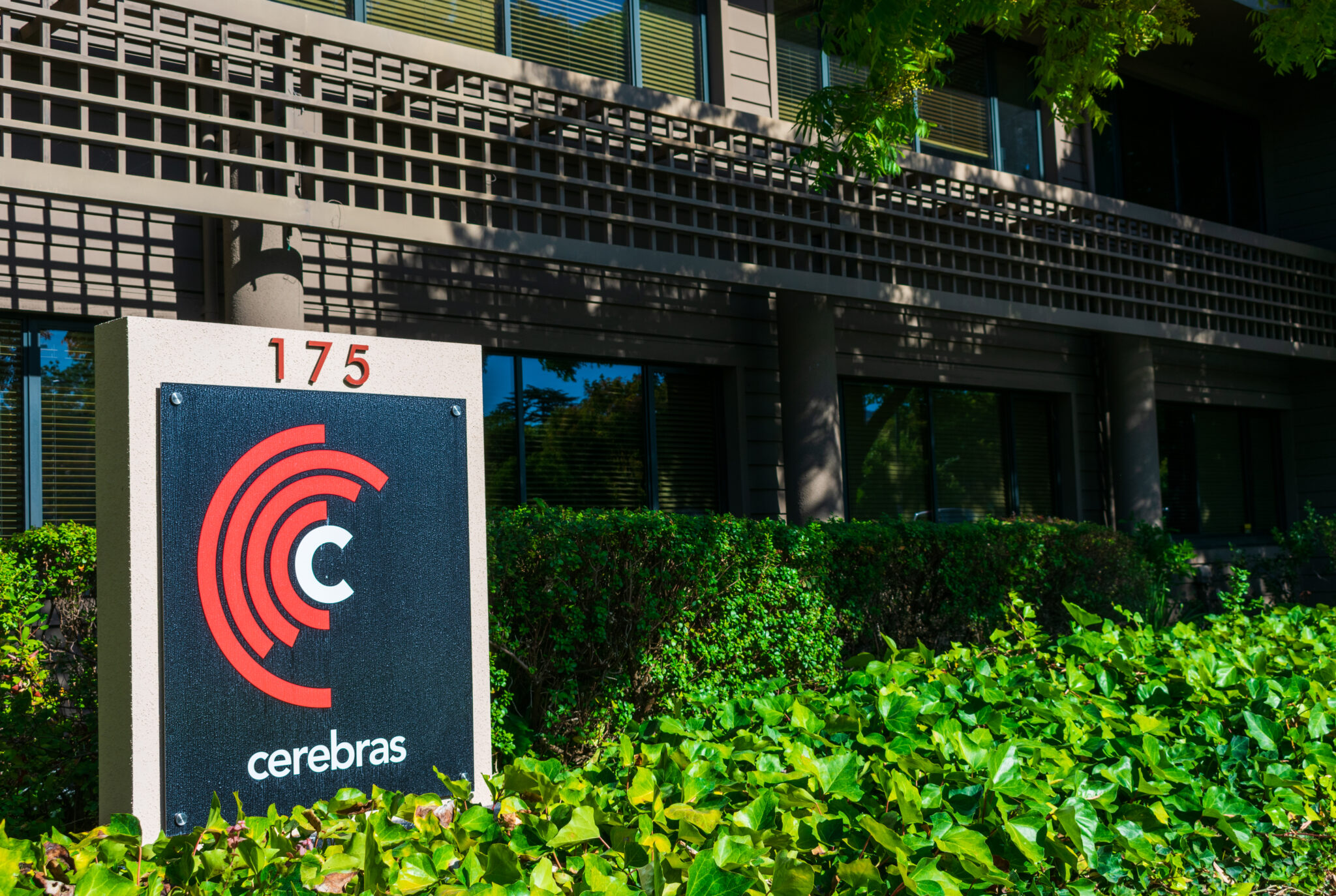 חברת הבינה המלאכותית Cerebras Systems | צילום: שאטרסטוק